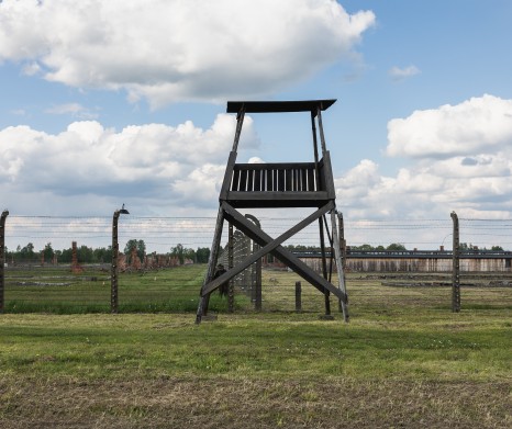 Wycieczka do Auschwitz-Birkenau (Prywatny transport + kierowca)